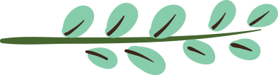 leaf singular leaf singular